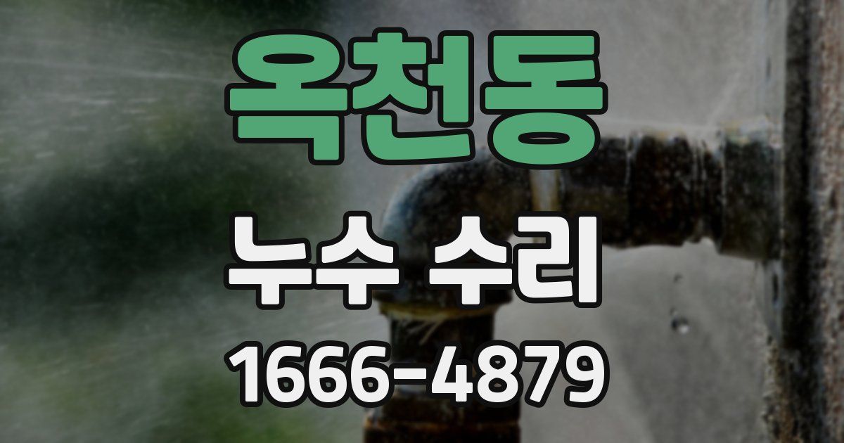 옥천동 누수 수리