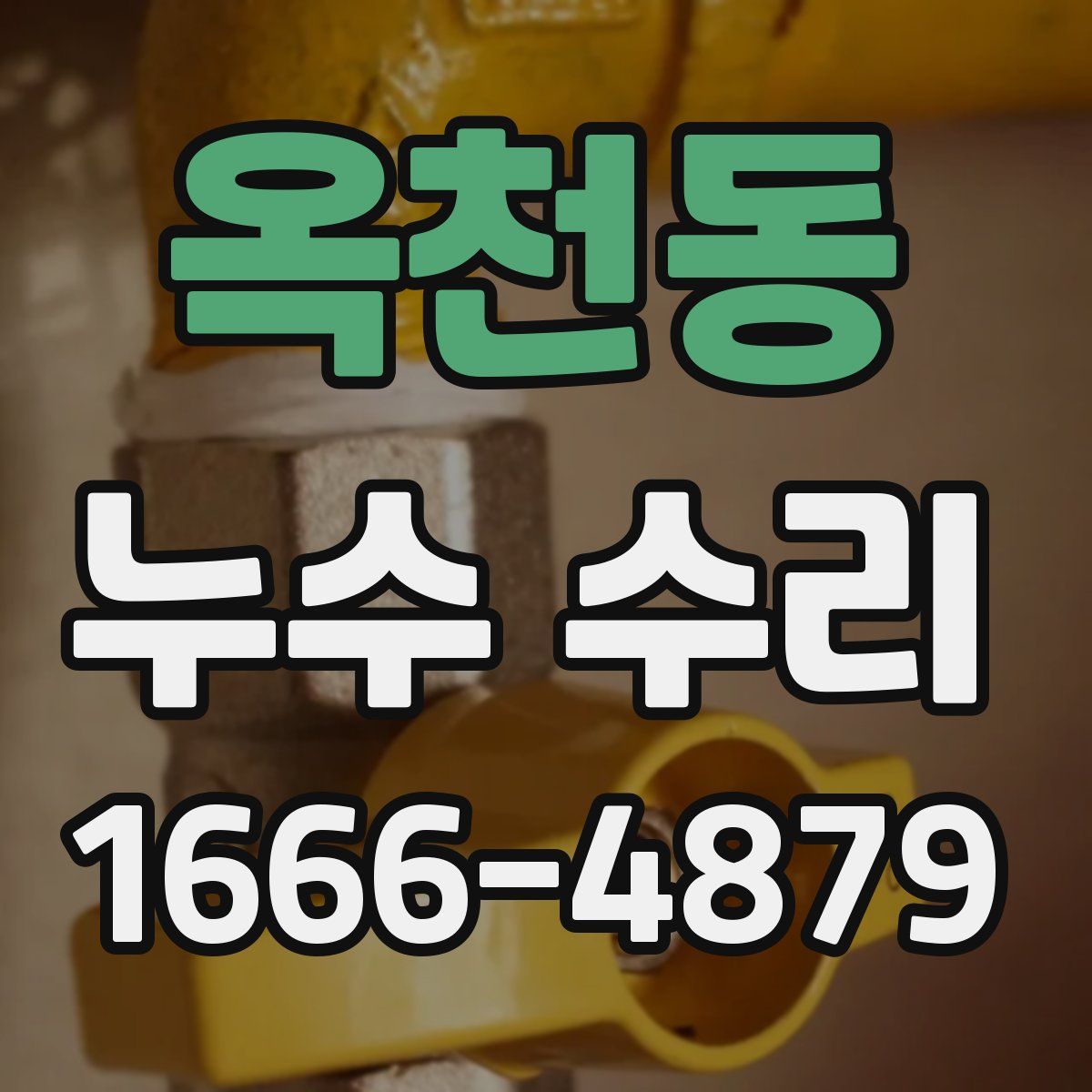 옥천동 누수 수리