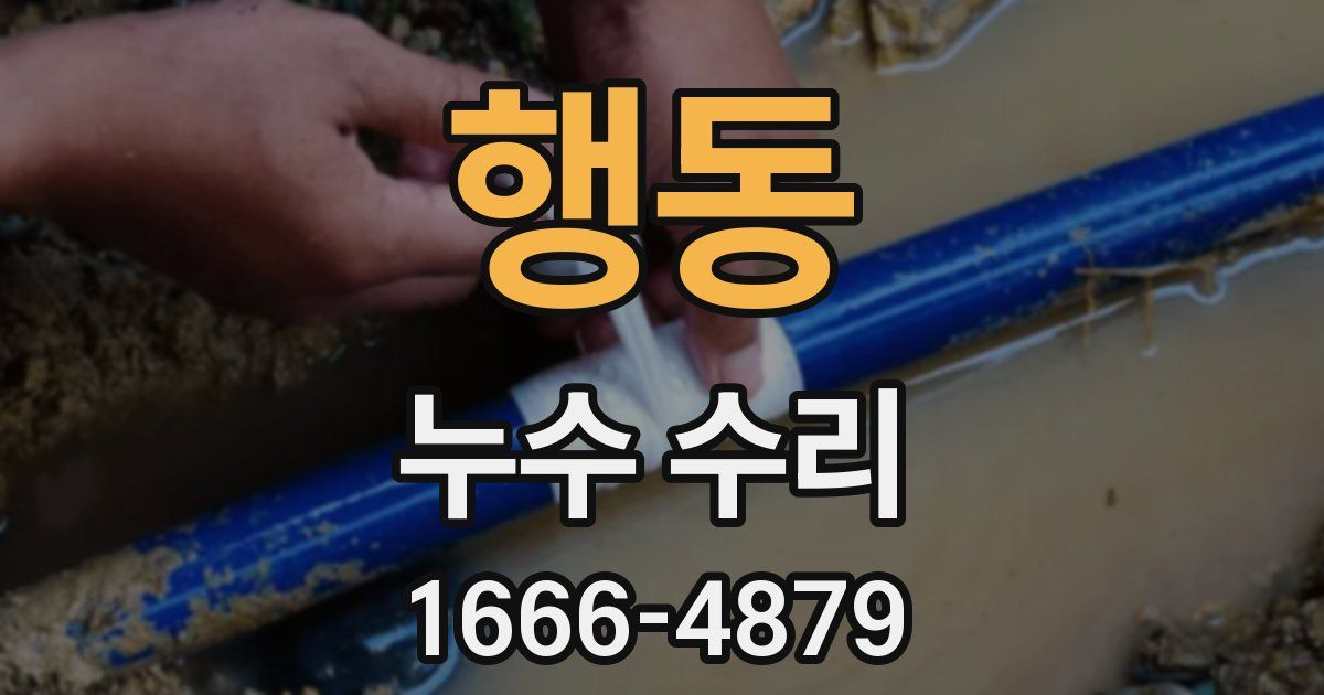 행동 누수 수리