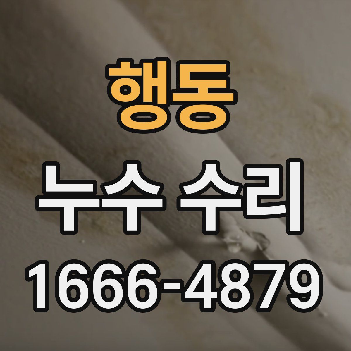 행동 누수 수리