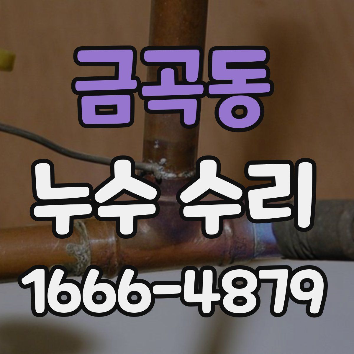 금곡동 누수 수리