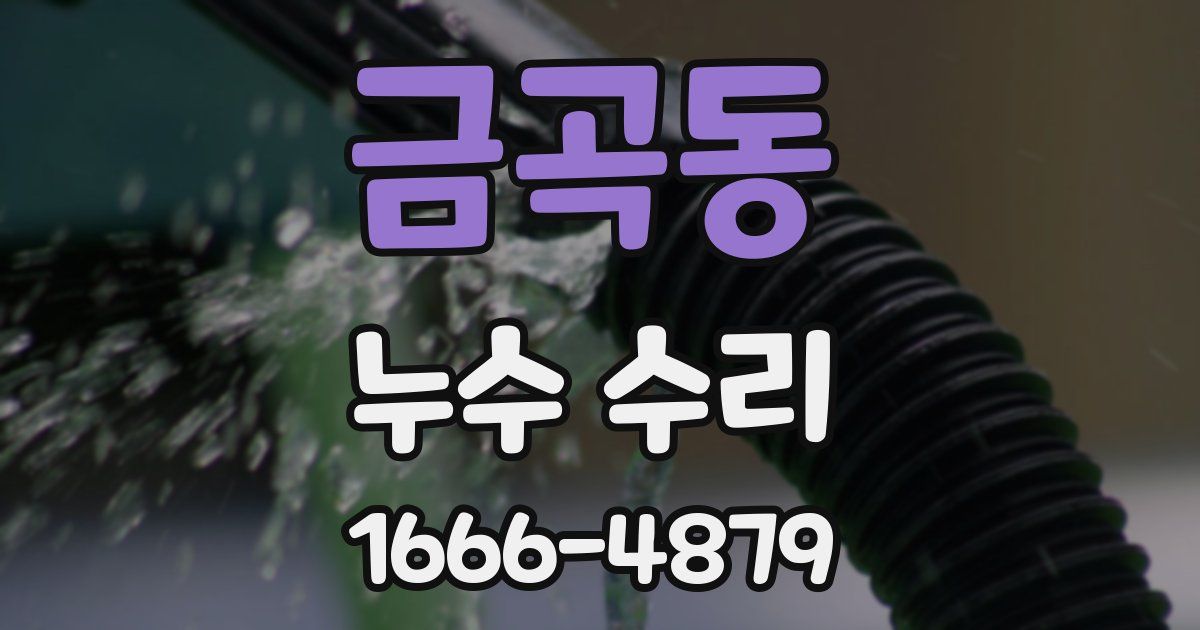금곡동 누수 수리