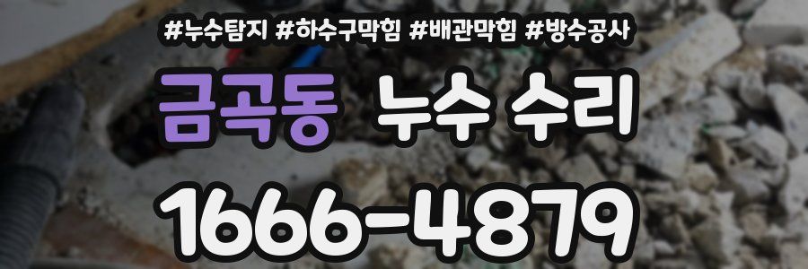 금곡동 누수 수리