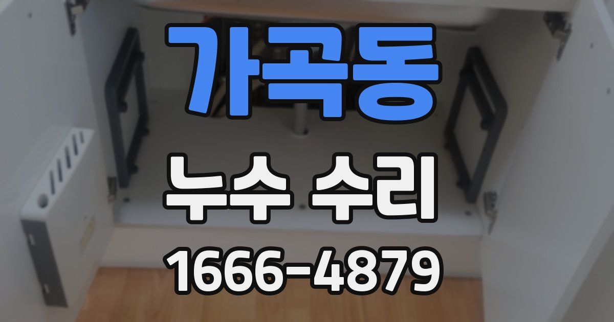 가곡동 누수 수리
