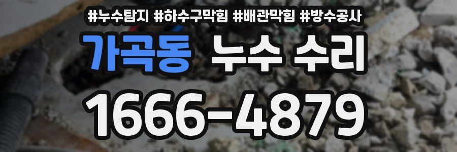 가곡동 누수 수리