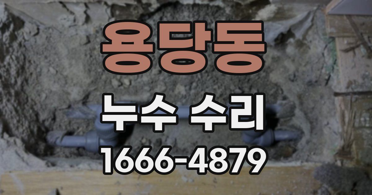 용당동 누수 수리