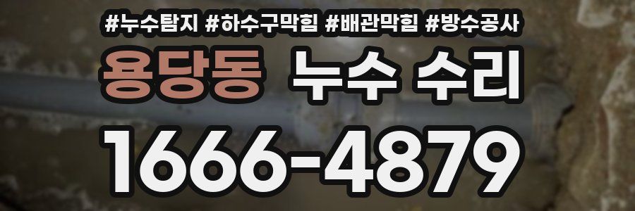 용당동 누수 수리
