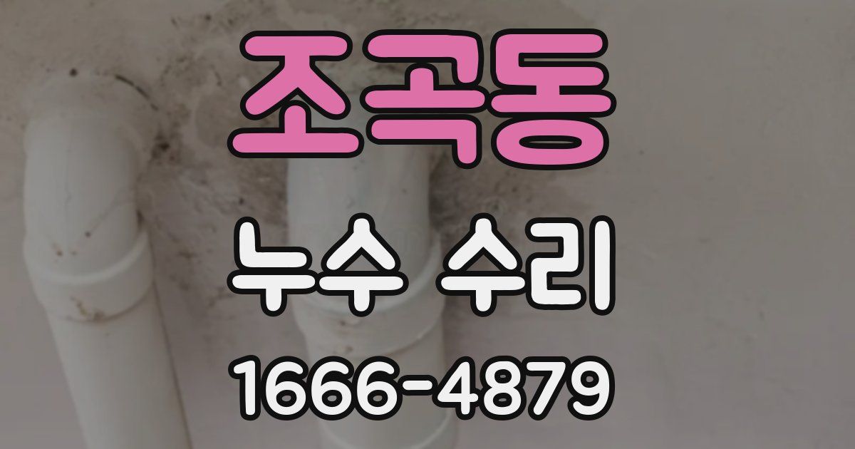 조곡동 누수 수리
