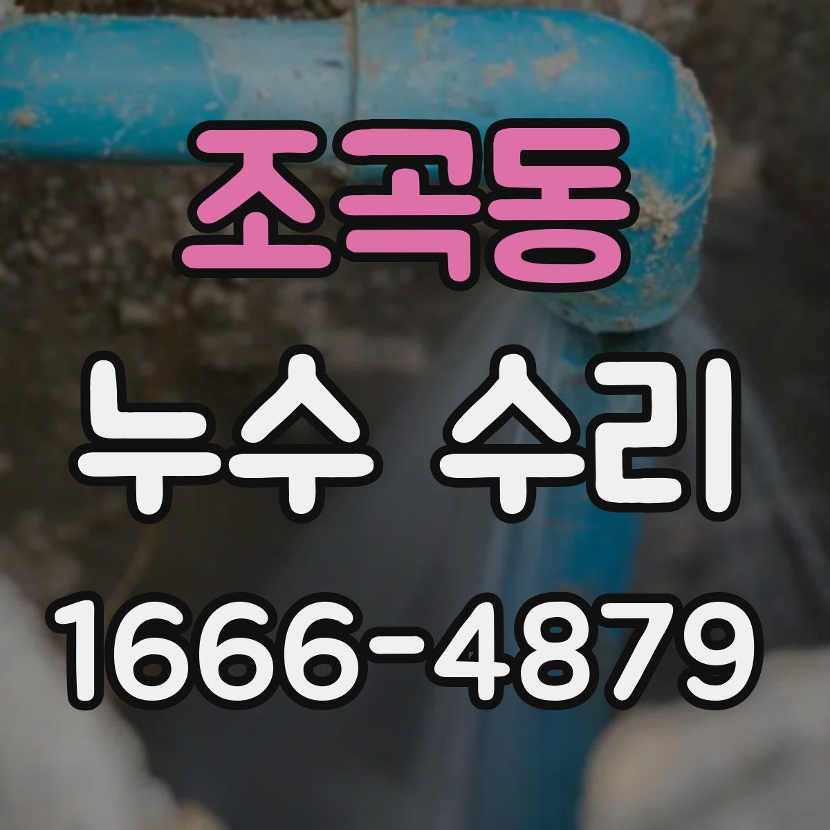 조곡동 누수 수리