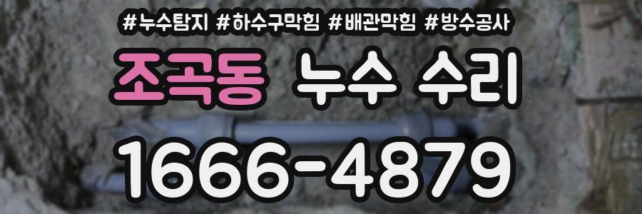 조곡동 누수 수리