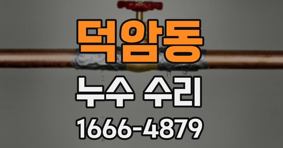 덕암동 누수 수리