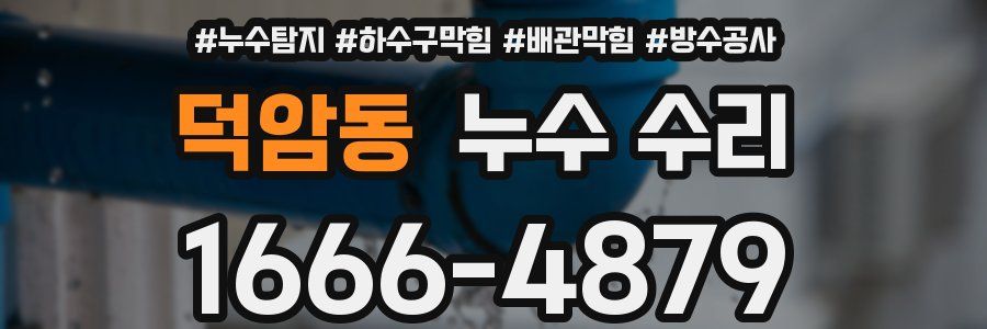 덕암동 누수 수리