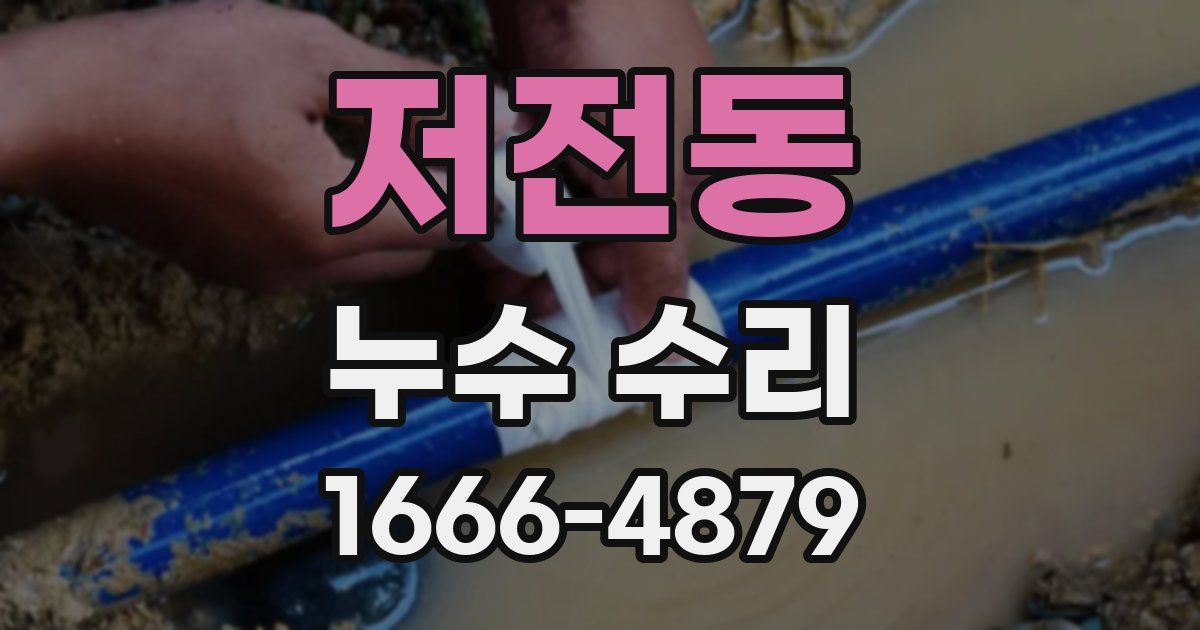 저전동 누수 수리