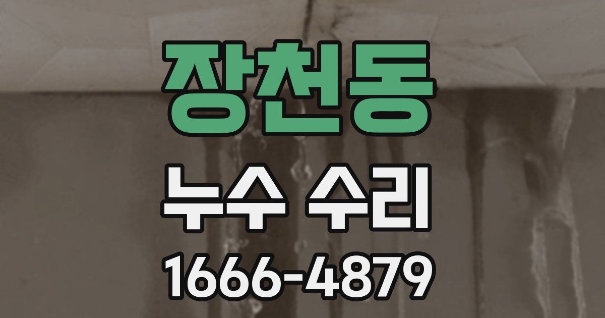 장천동 누수 수리