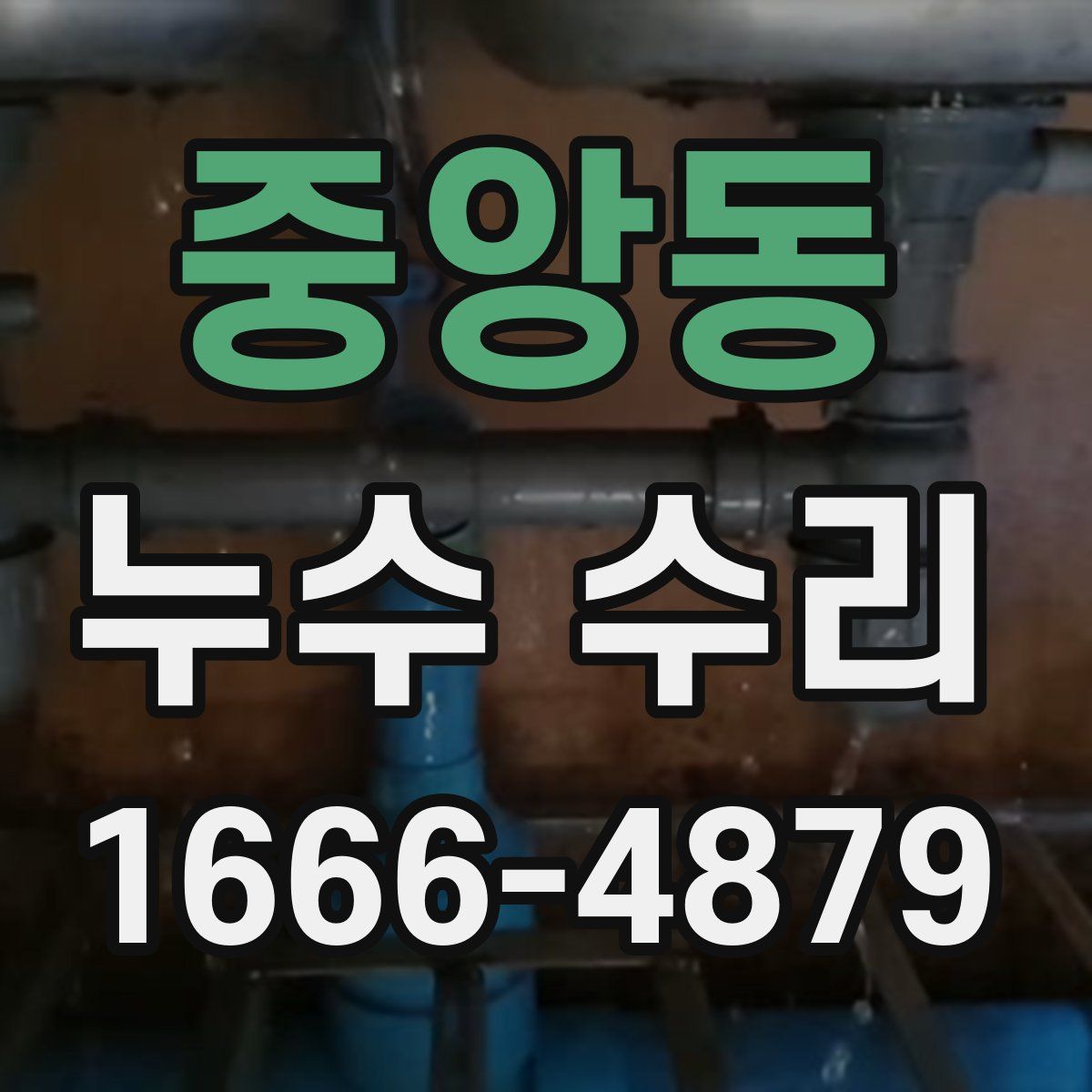 중앙동 누수 수리