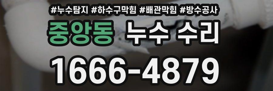 중앙동 누수 수리