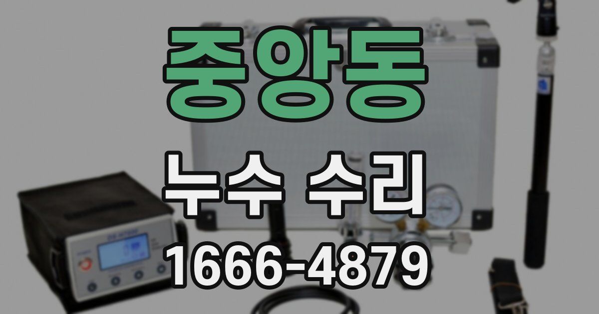 중앙동 누수 수리