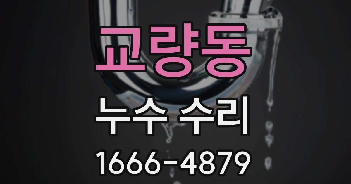 교량동 누수 수리
