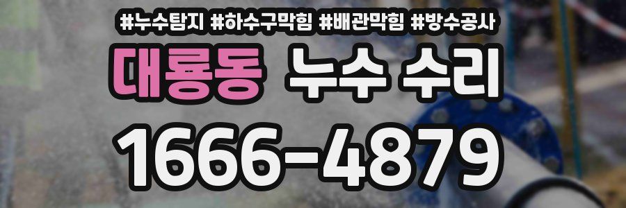 대룡동 누수 수리