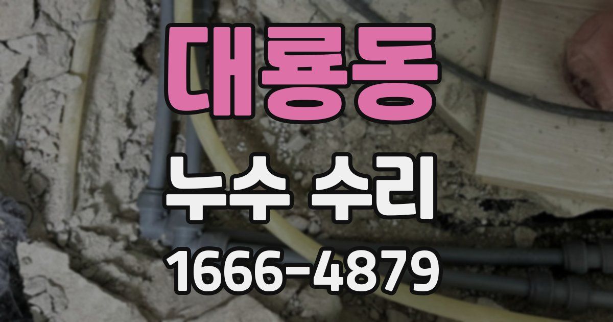 대룡동 누수 수리