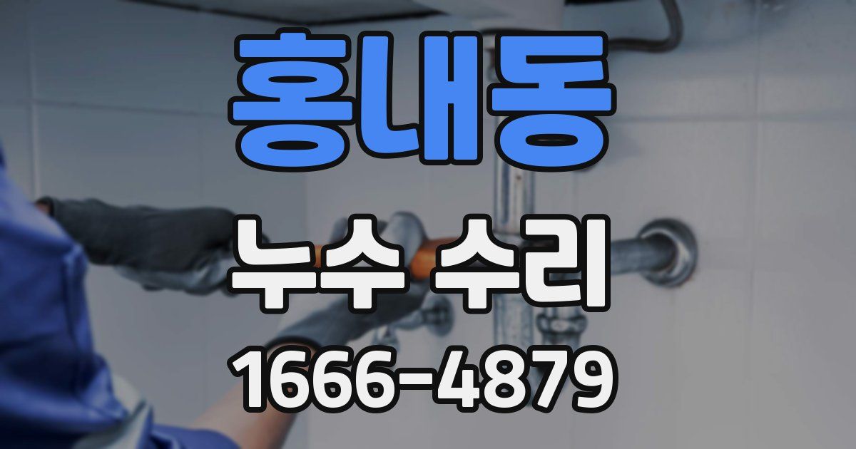 홍내동 누수 수리