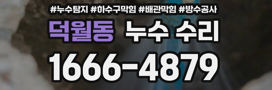 덕월동 누수 수리