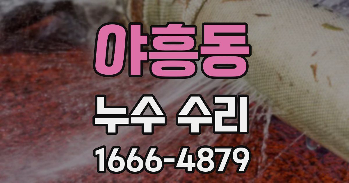 야흥동 누수 수리