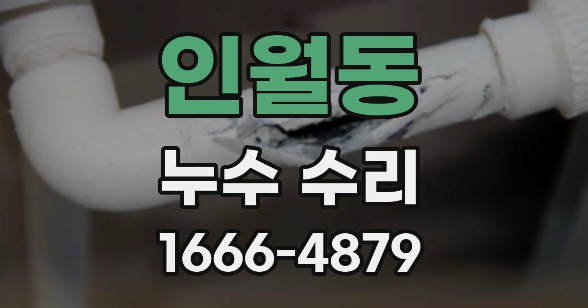 인월동 누수 수리