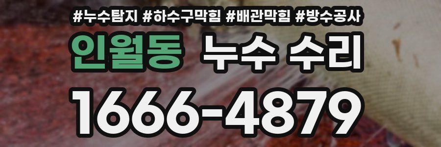 인월동 누수 수리