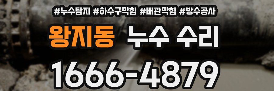 왕지동 누수 수리
