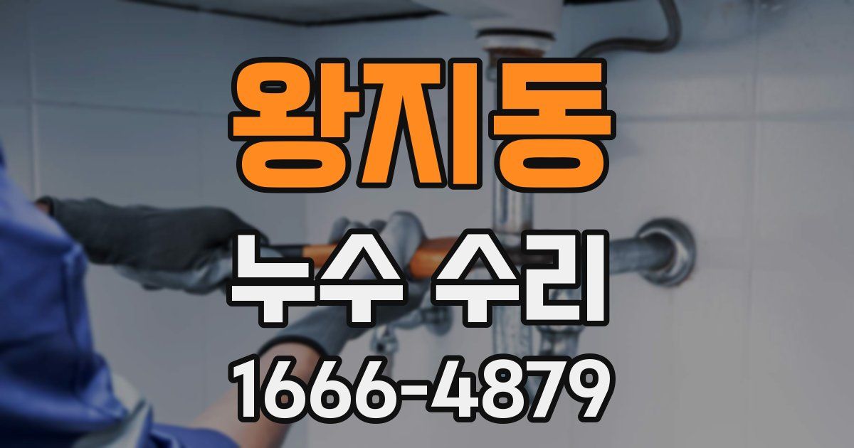 왕지동 누수 수리