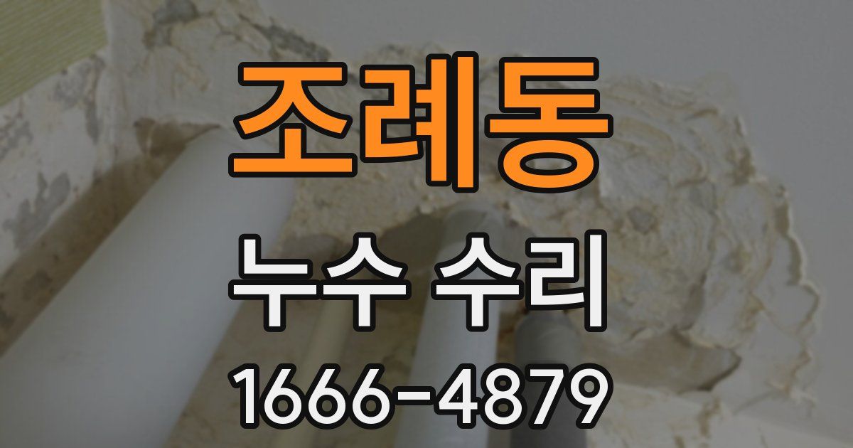 조례동 누수 수리
