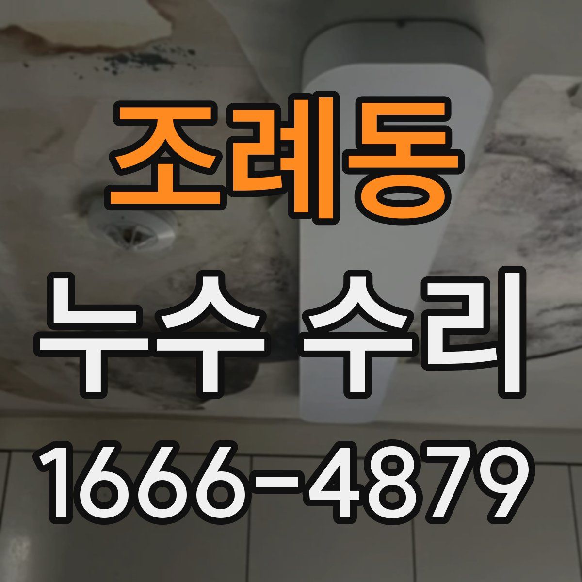 조례동 누수 수리