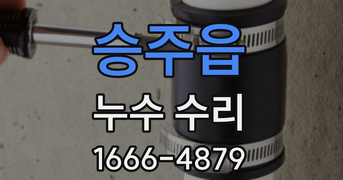 승주읍 누수 수리