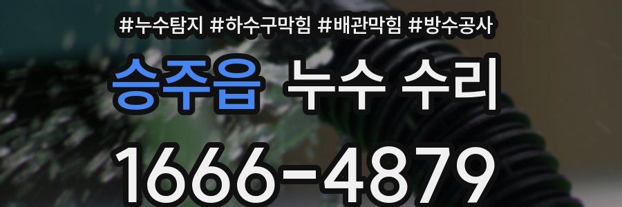 승주읍 누수 수리