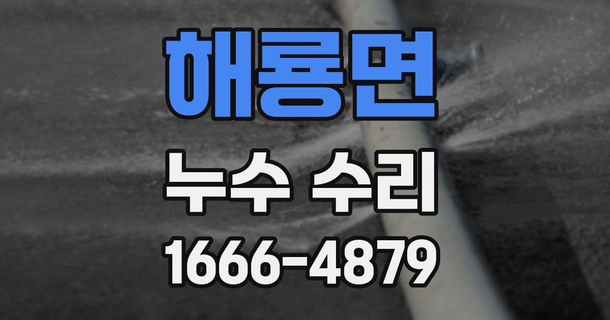 해룡면 누수 수리