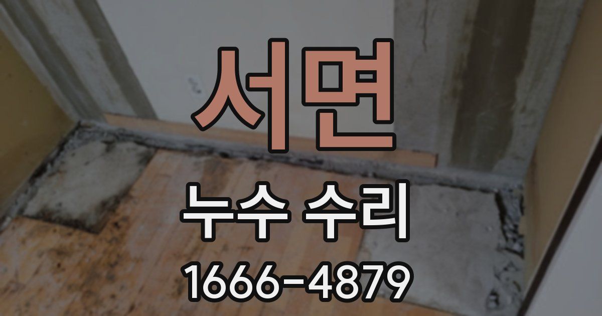 서면 누수 수리