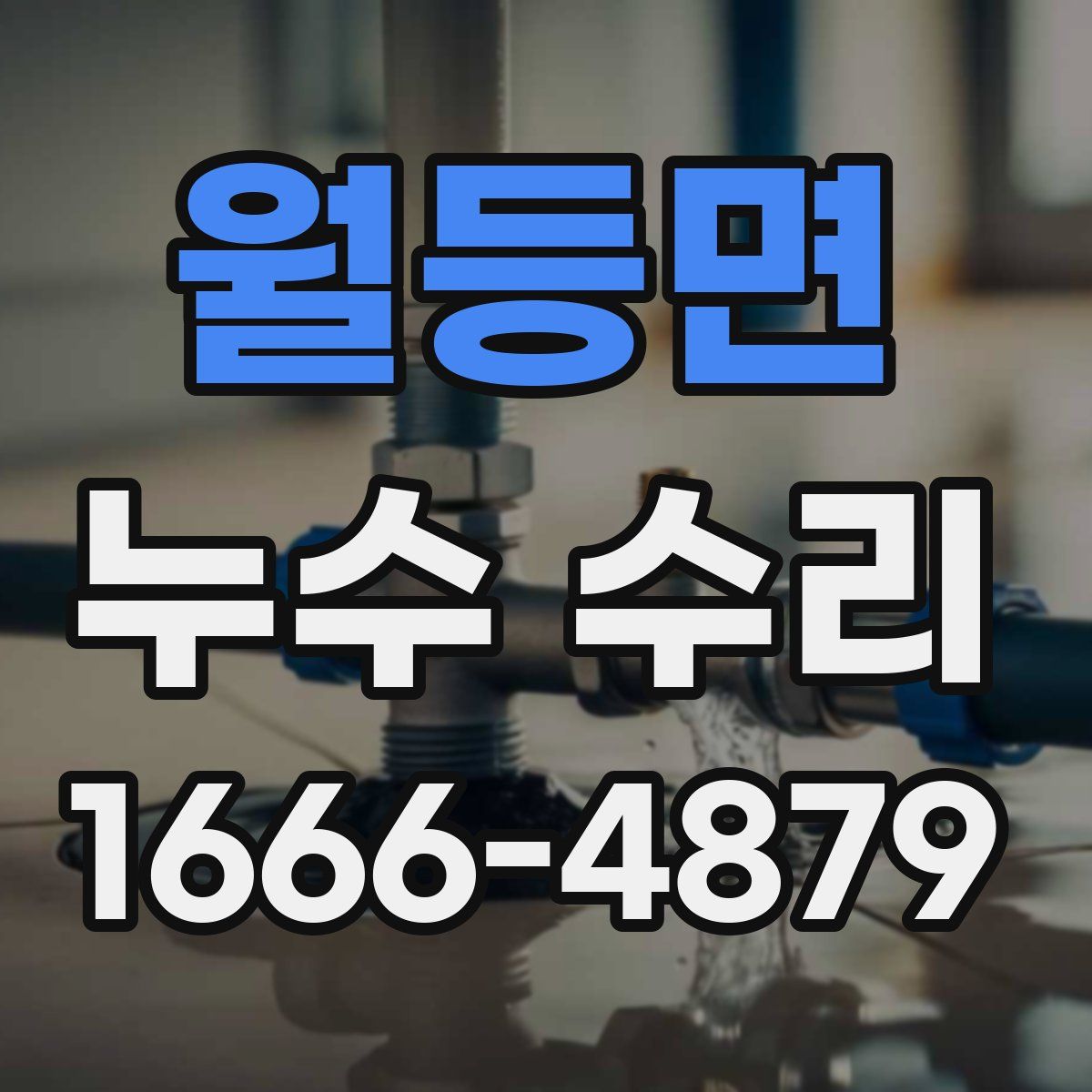 월등면 누수 수리