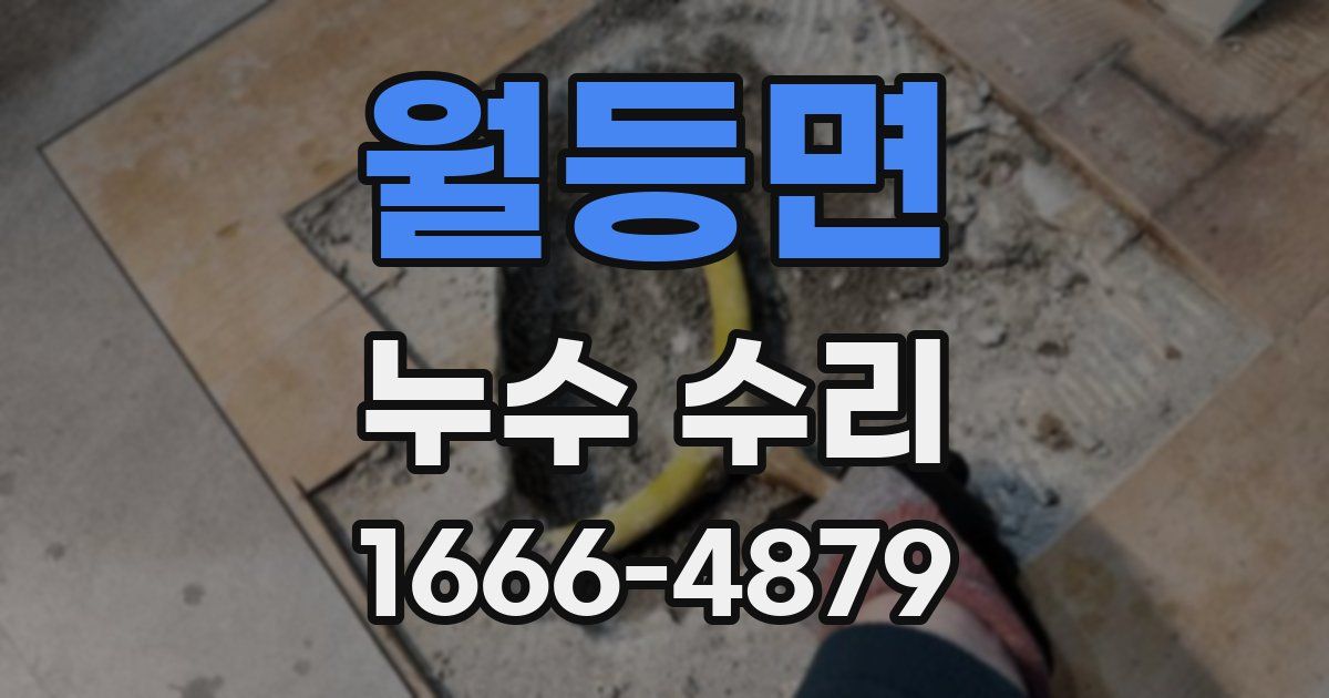 월등면 누수 수리