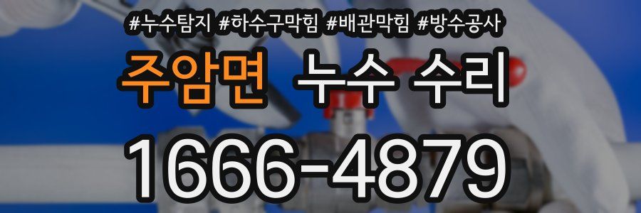 주암면 누수 수리