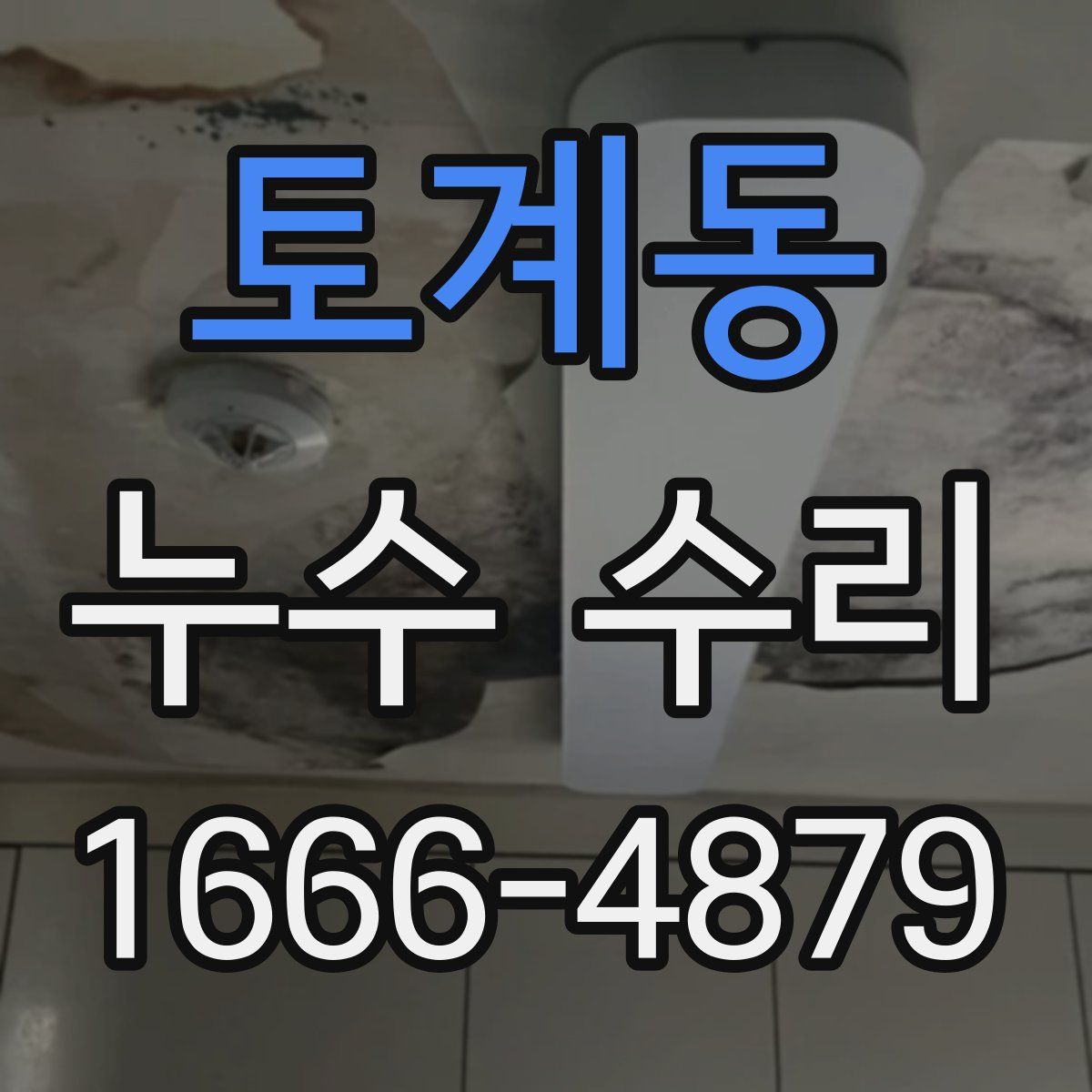 토계동 누수 수리