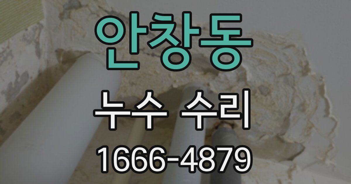 안창동 누수 수리