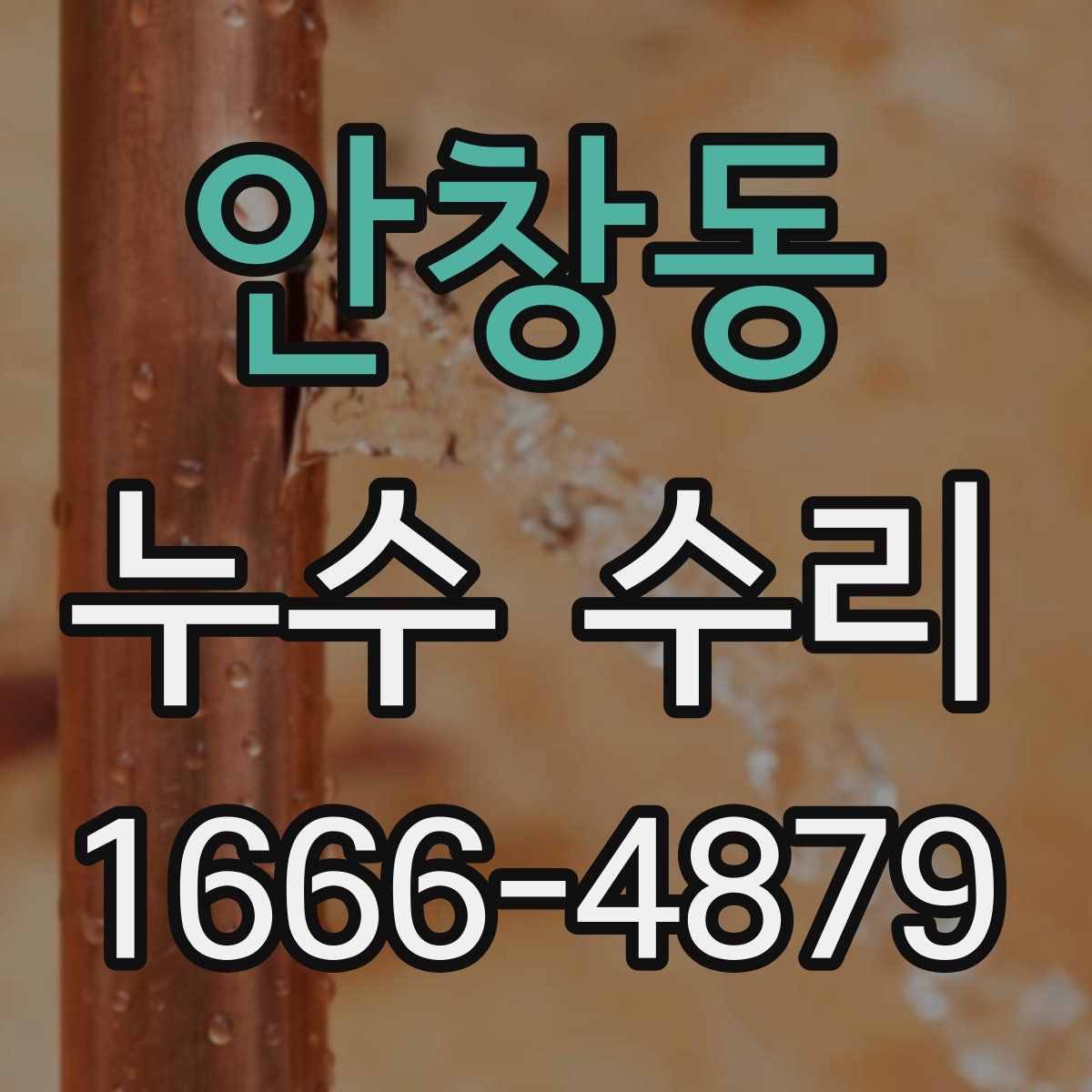 안창동 누수 수리