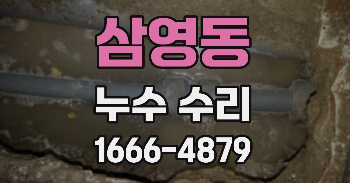 삼영동 누수 수리