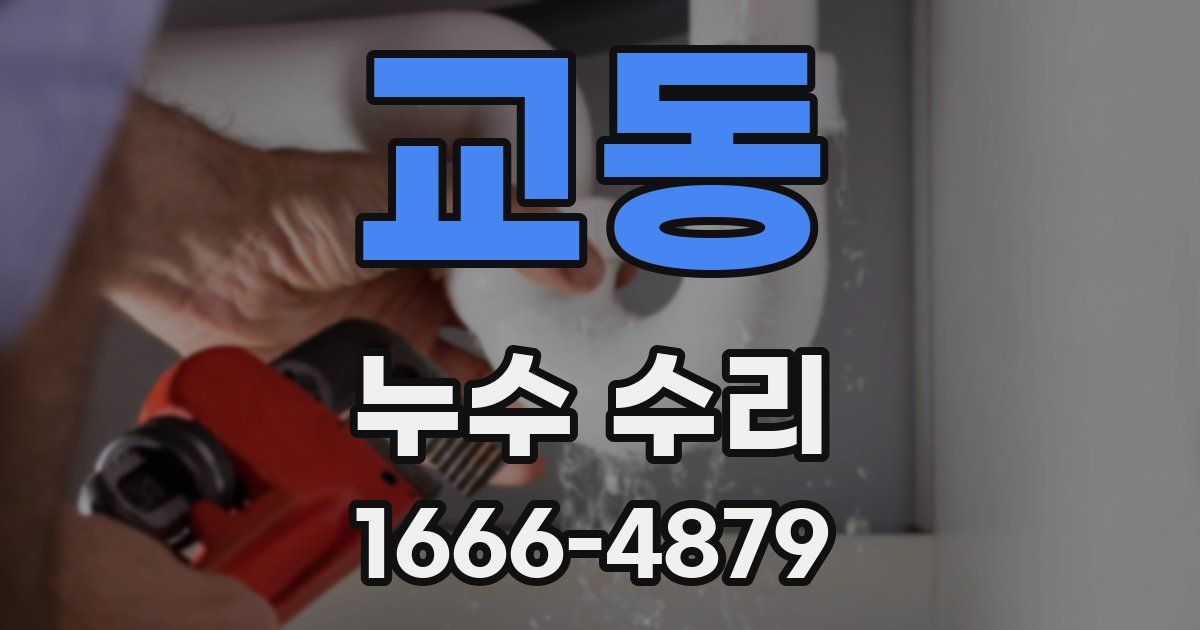 교동 누수 수리
