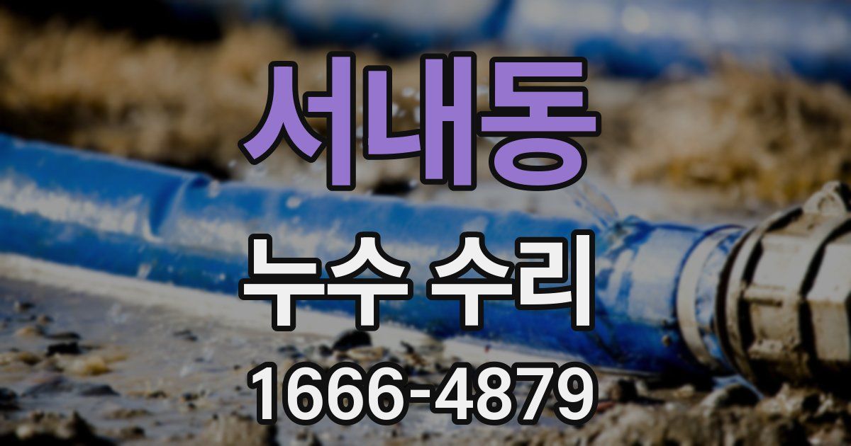 서내동 누수 수리