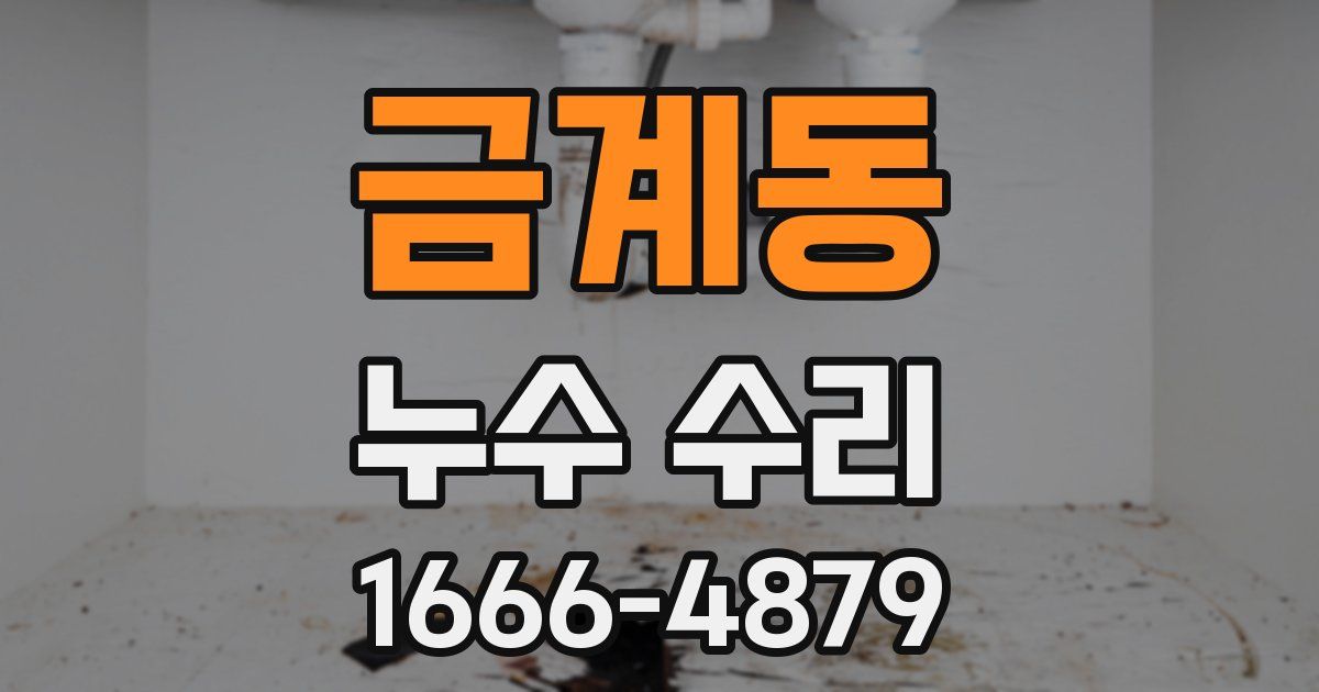 금계동 누수 수리