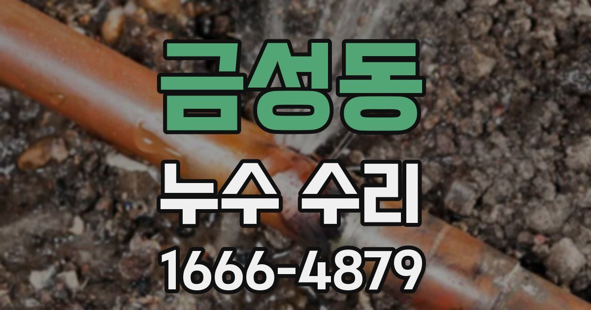 금성동 누수 수리