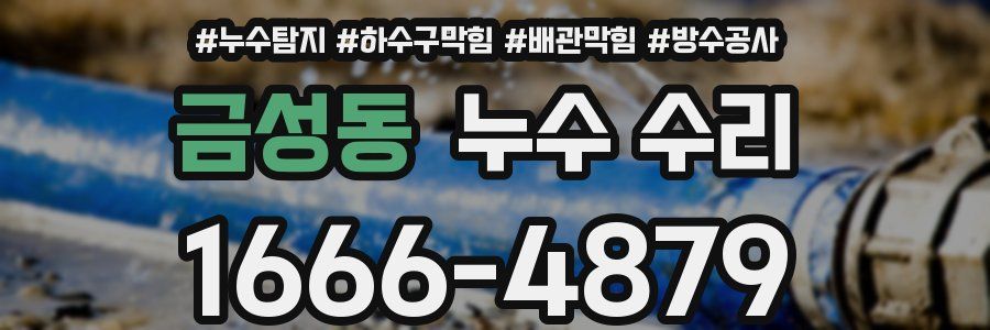 금성동 누수 수리