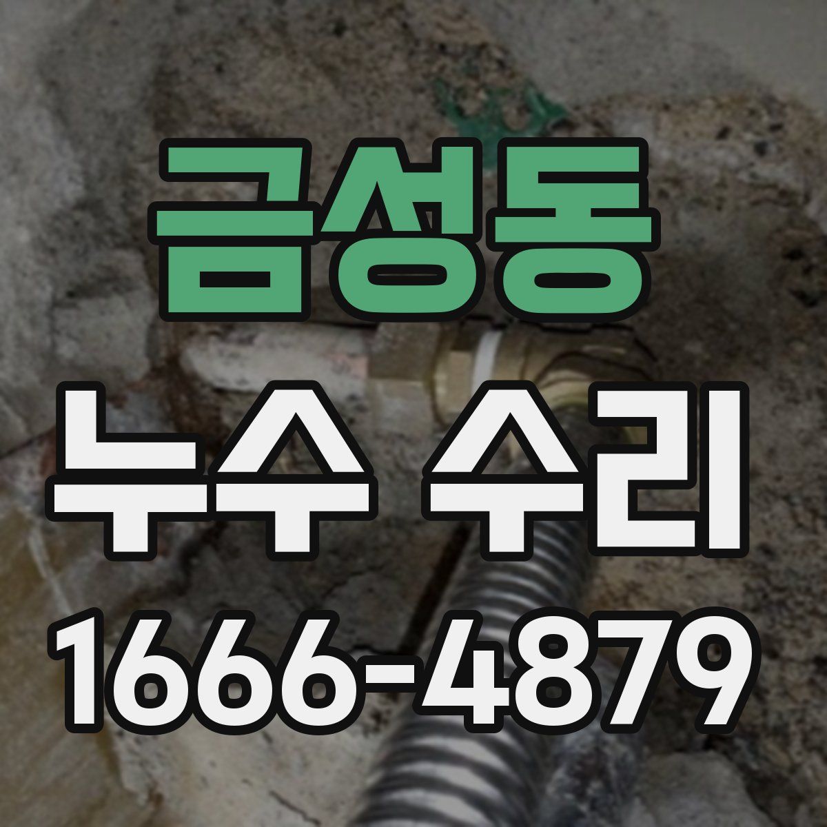 금성동 누수 수리